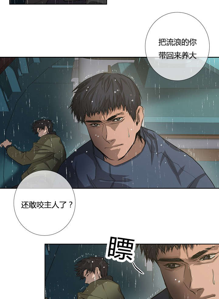 第39章：最后的战斗（下）5