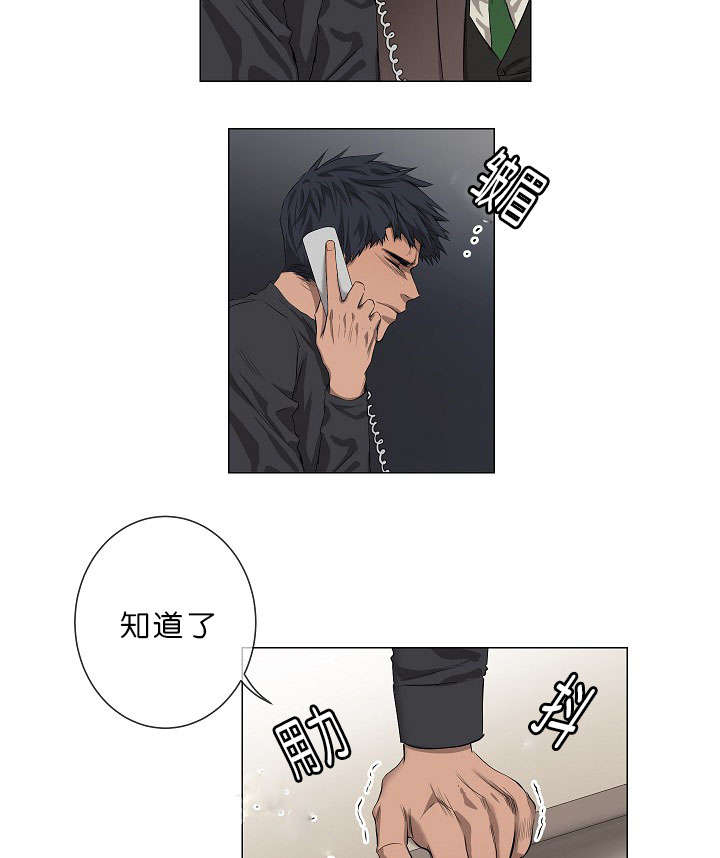 第17章：项目取消13