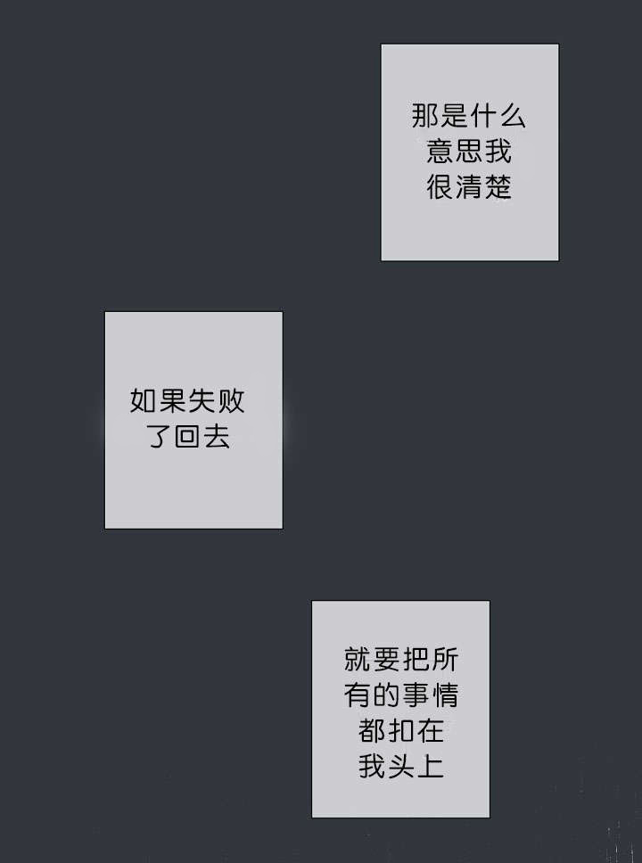 第17章：项目取消22