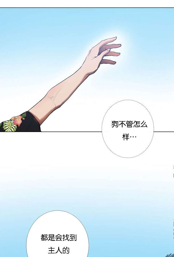 第43章：满世界的找你（完）30