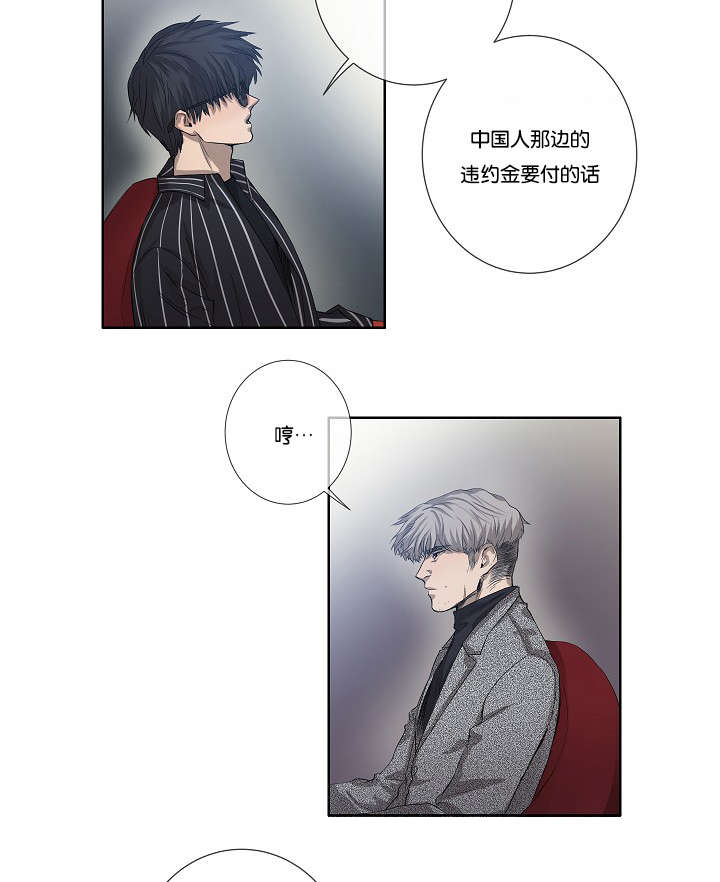 第30章：解决17