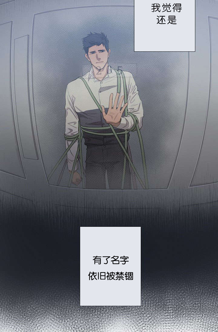 第17章：项目取消3