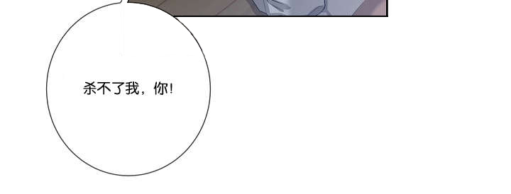 第33章：杀了我吧31