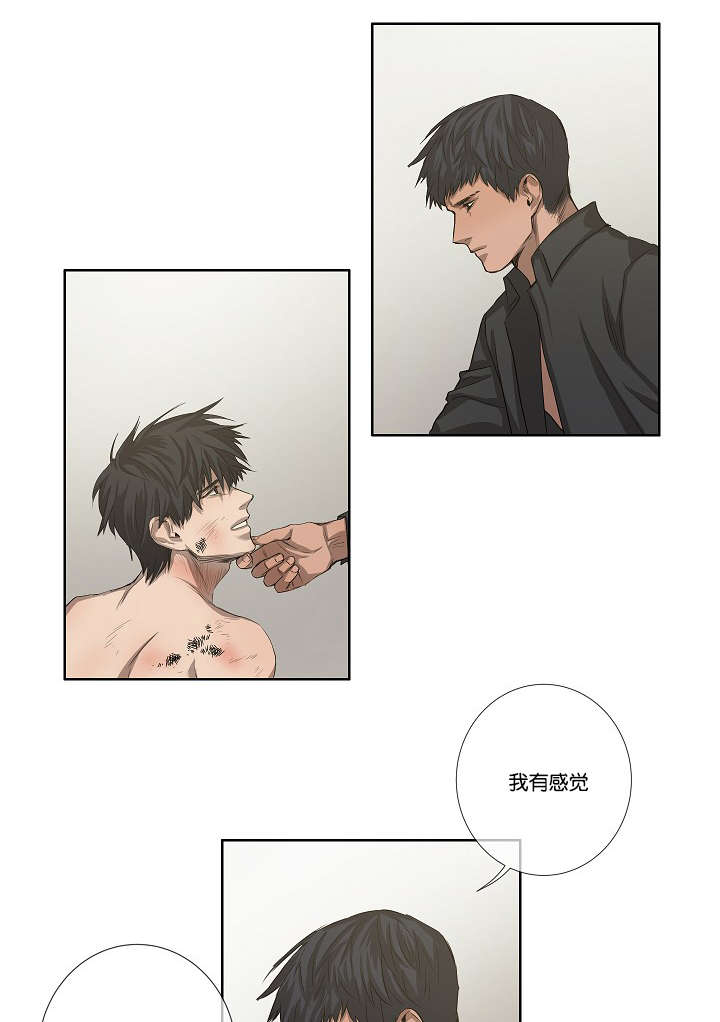 第34章：报复14