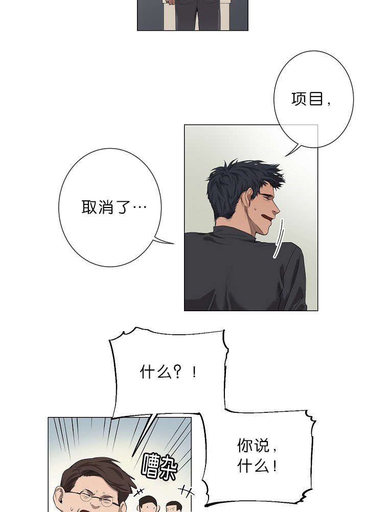 第17章：项目取消15