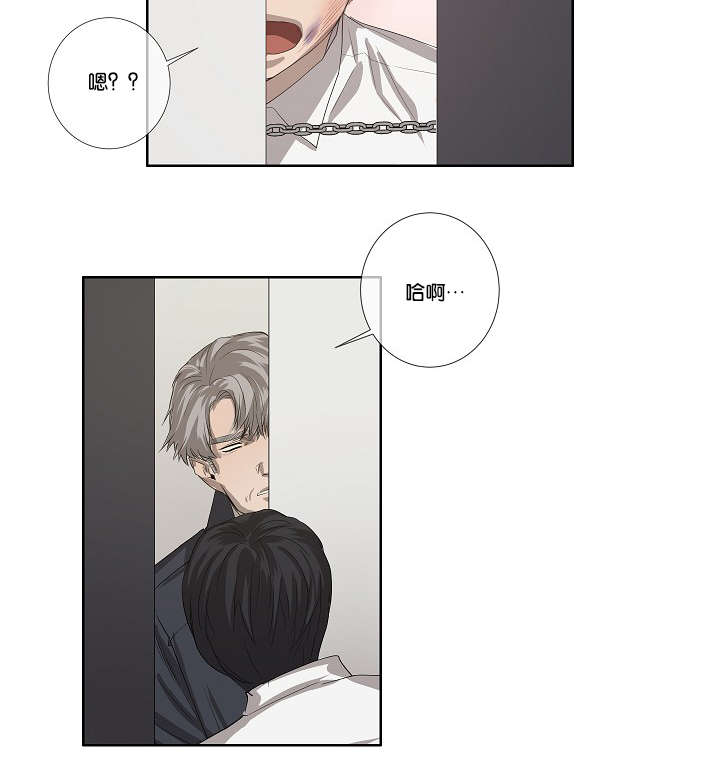 第35章：发现可疑之处4