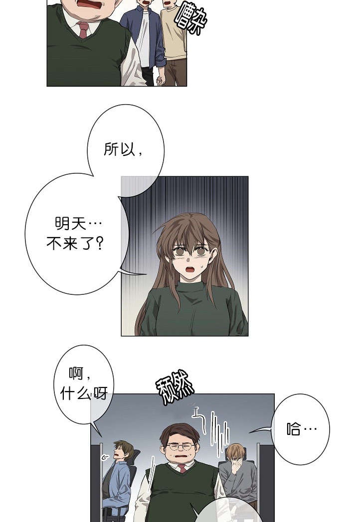 第17章：项目取消16