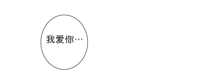 第19章：今晚行动5