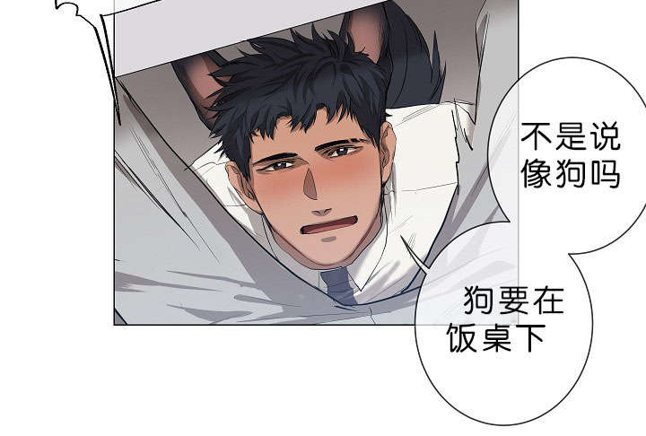 第16章：他的名字真好听3