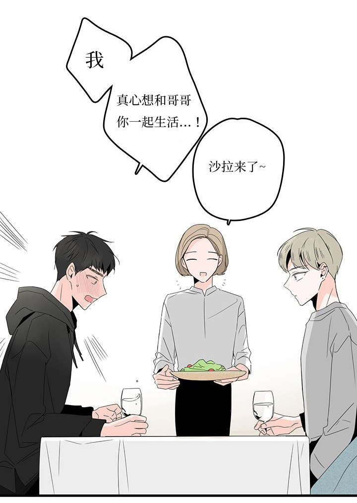 第13章：兄弟12