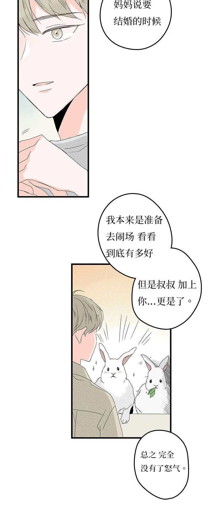 第14章：缓和6