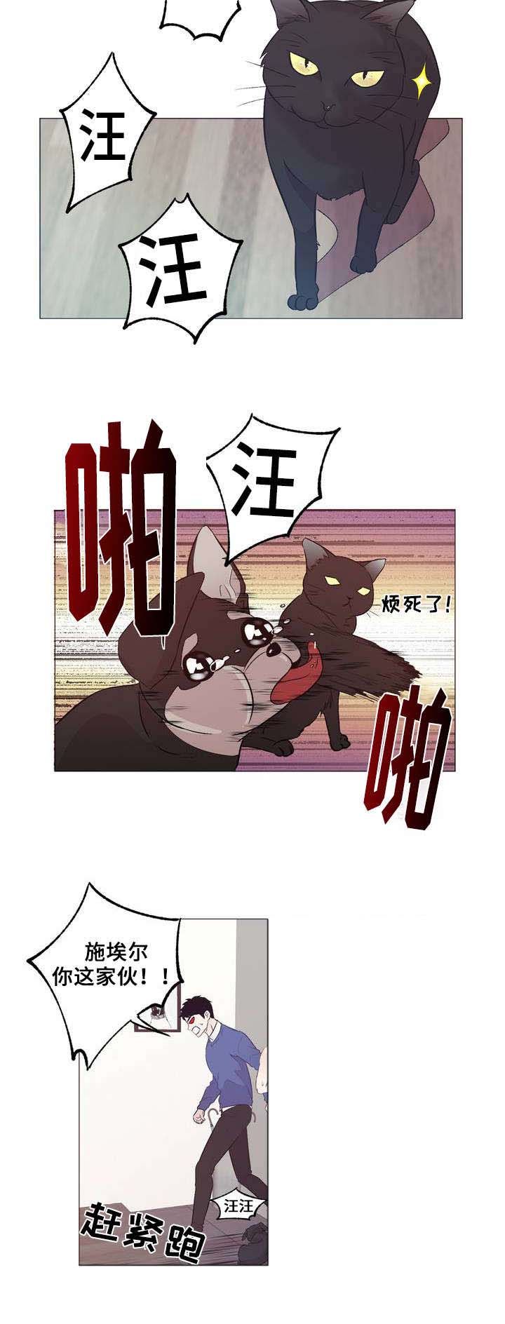 第1章：邻居9