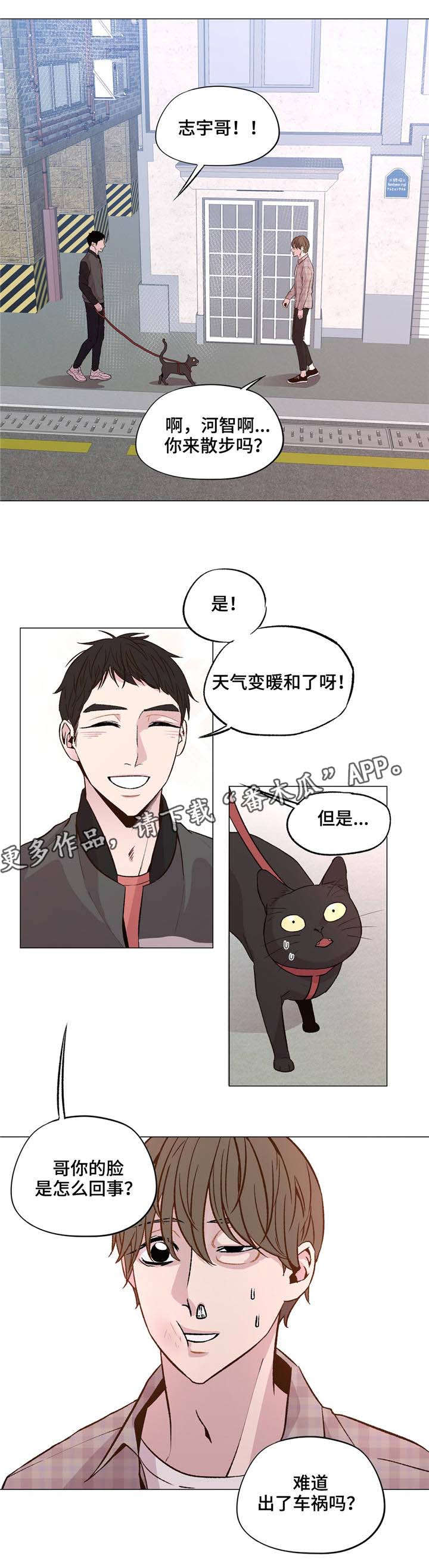 第33章：出车祸了？12