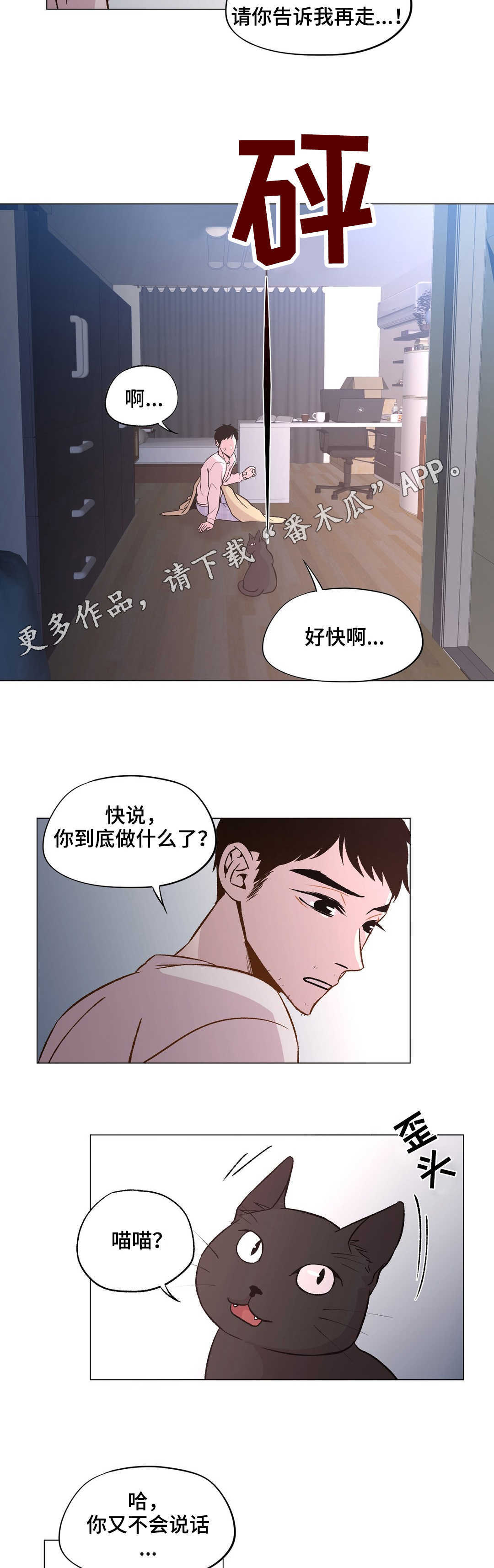 第27章：要小心了11