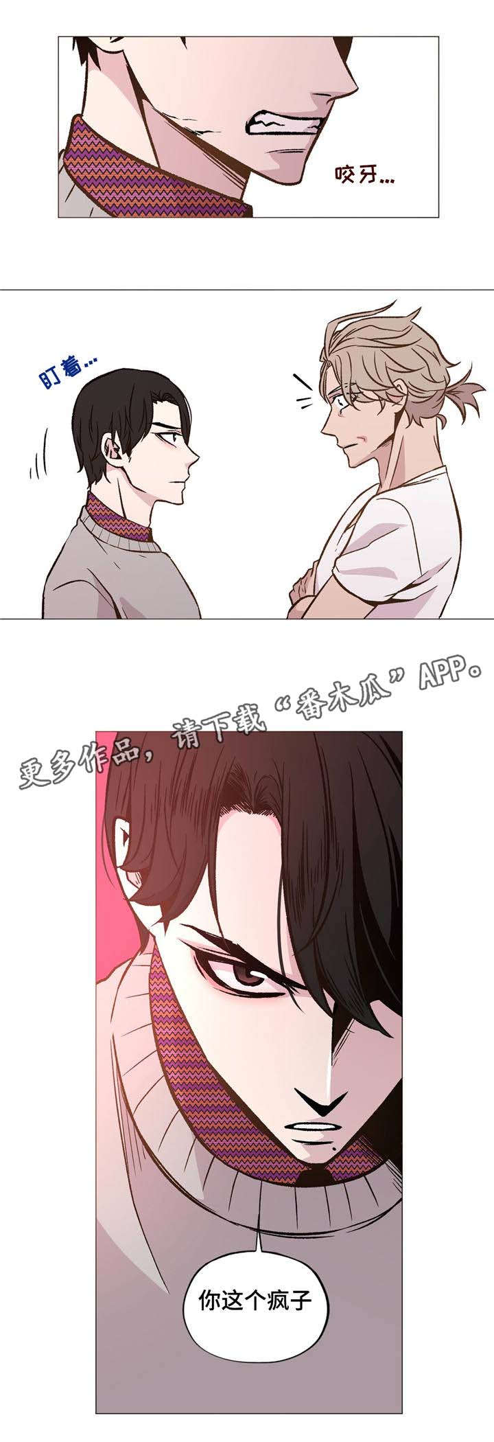 第36章：你这个疯子3