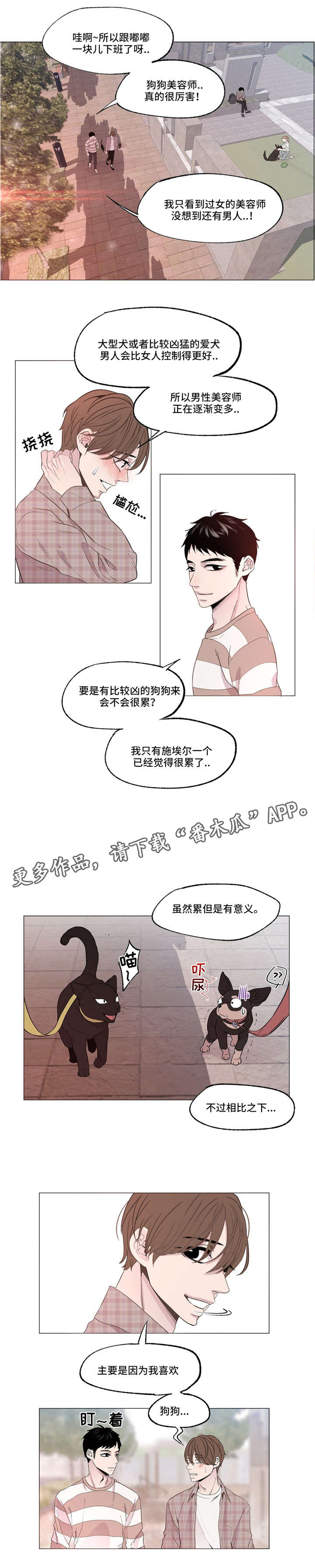 第4章：小说家6
