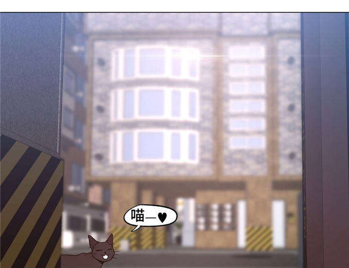 第30章：一直被欺负6