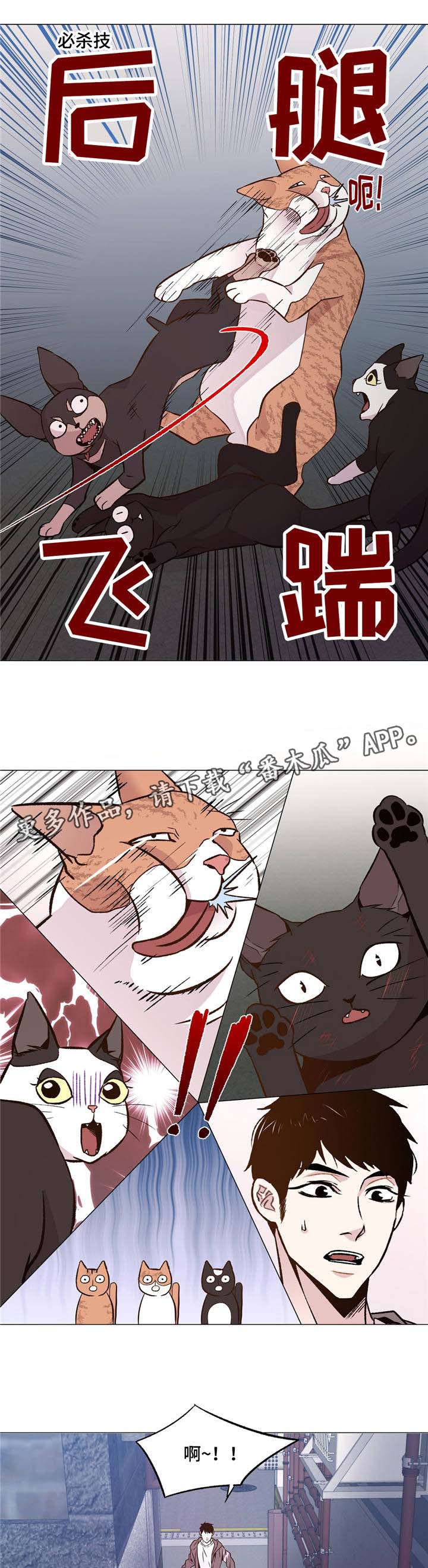 第31章：和睦相处0