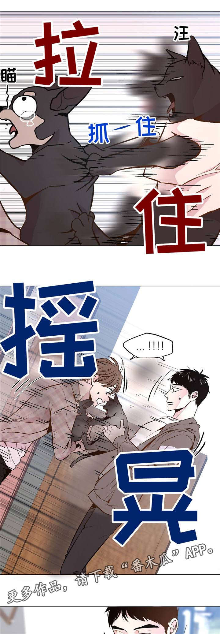 第31章：和睦相处8