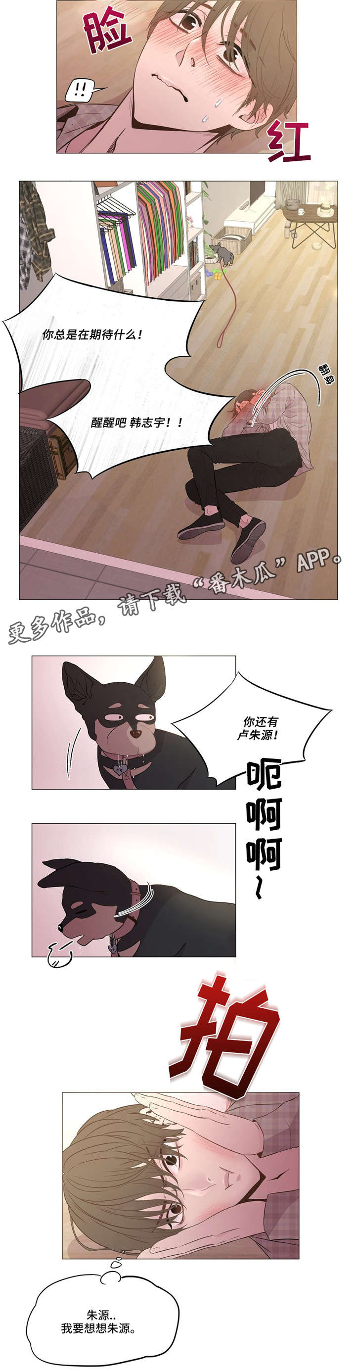 第5章：心烦意乱8
