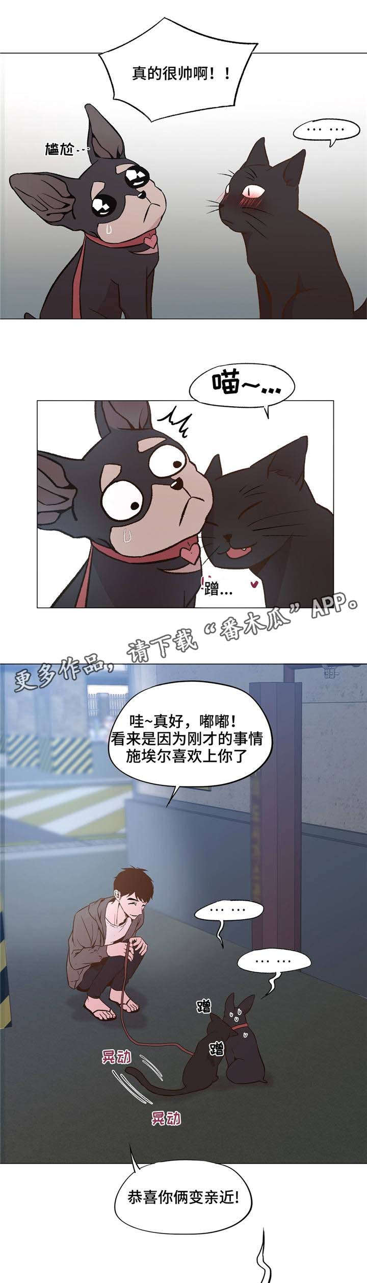 第31章：和睦相处2