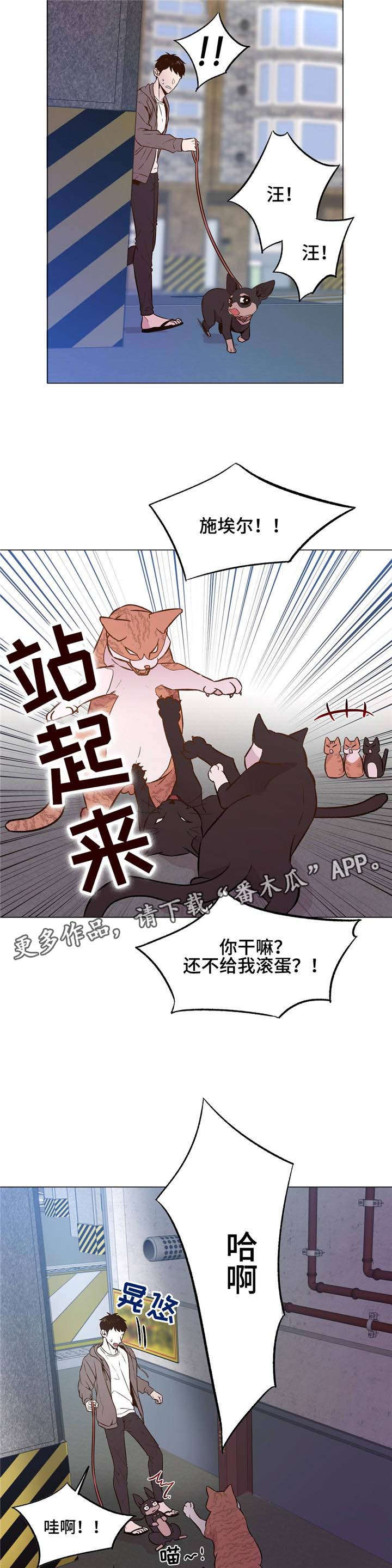 第30章：一直被欺负11