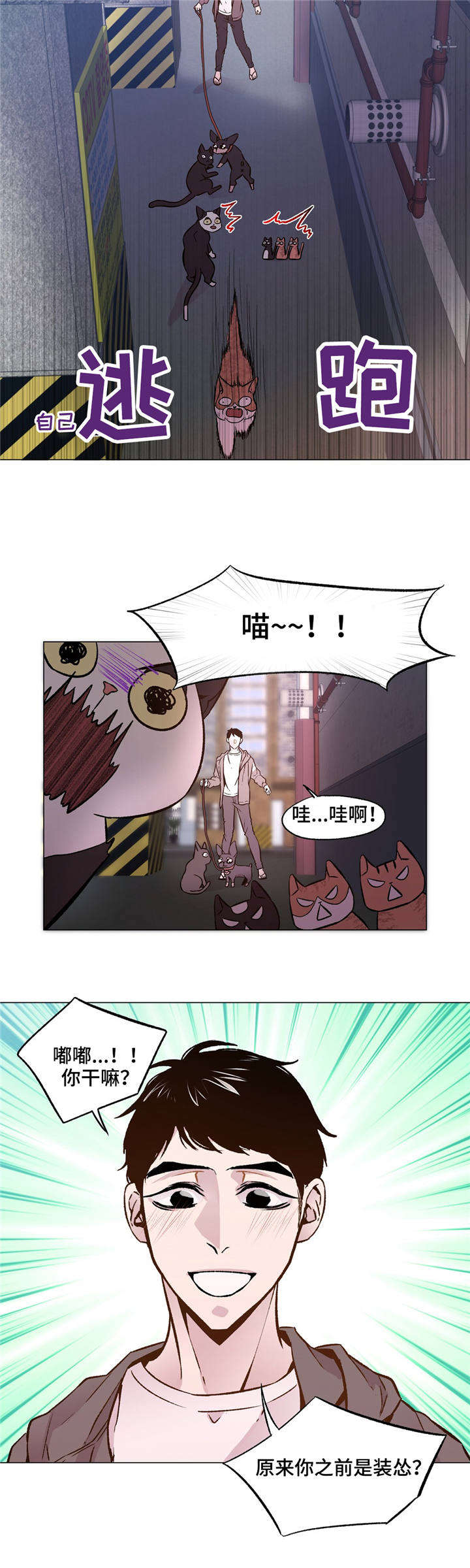 第31章：和睦相处1