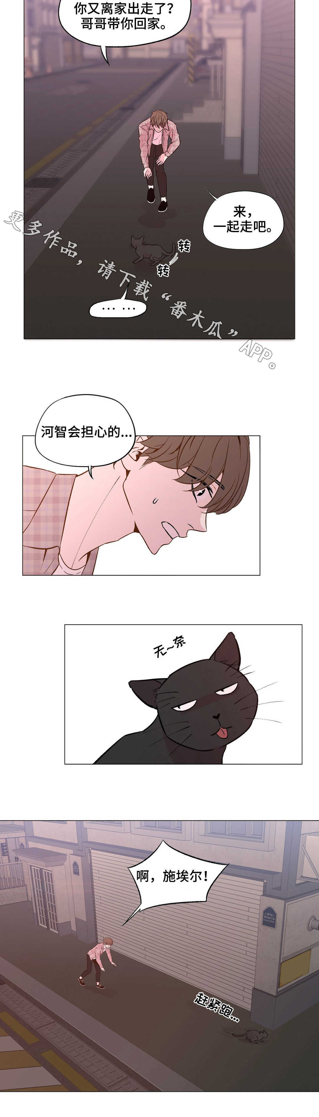 第26章：丢掉盲目幻想3