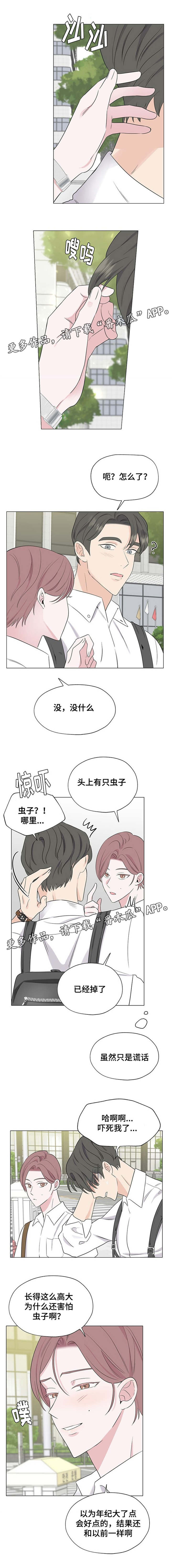 第17章：这是什么0