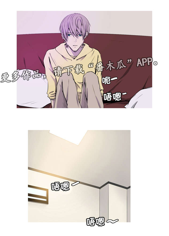第43章：复婚1