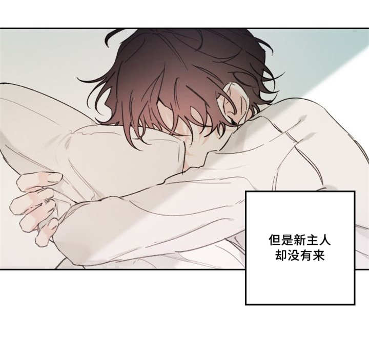 第48章：想要见他32