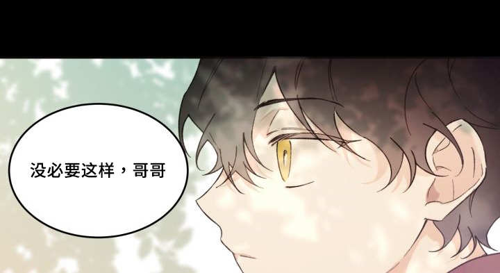 第47章：到底是谁6