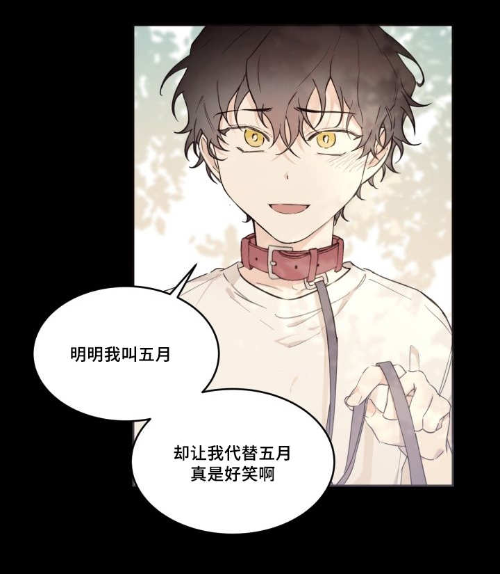 第47章：到底是谁5