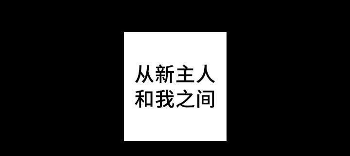 第46章：只是羡慕13