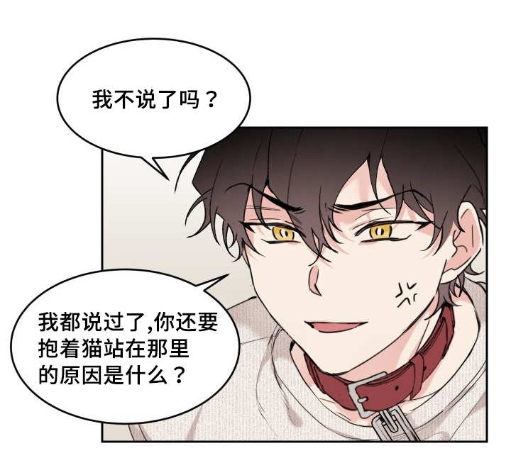 第28章：生气了吗19