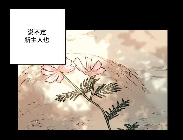 第50章：大结局0