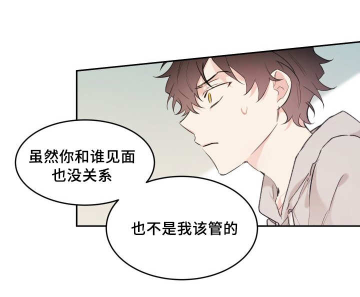 第37章：我知道了13