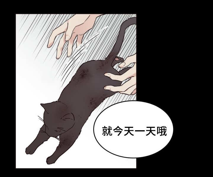 第26章：不然就杀了12