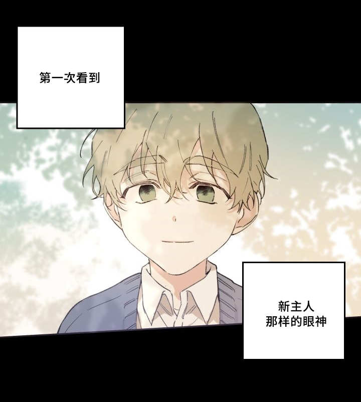 第47章：到底是谁9