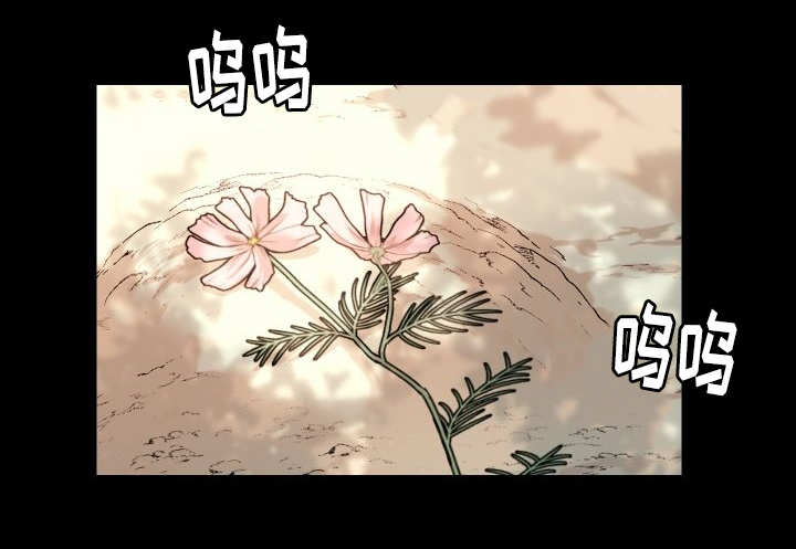 第46章：只是羡慕16