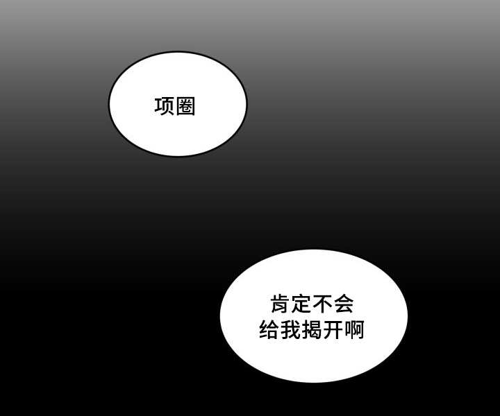 第44章：陷入爱情19