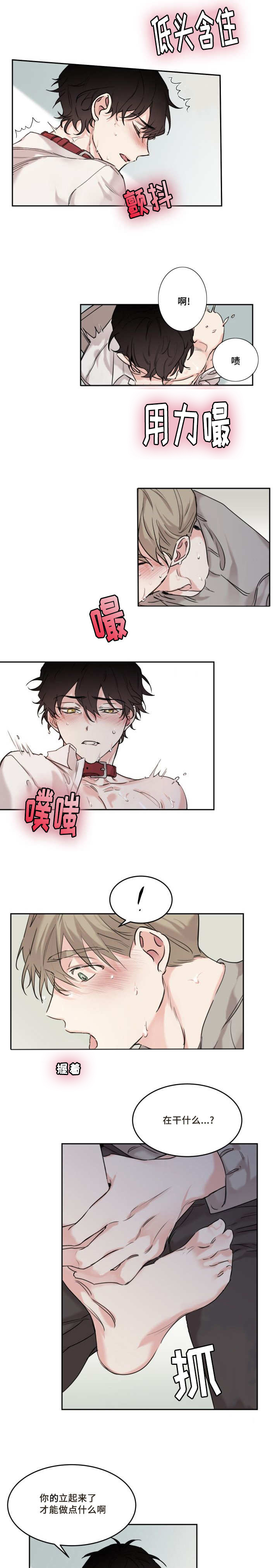 第12章：想怎么做呢2