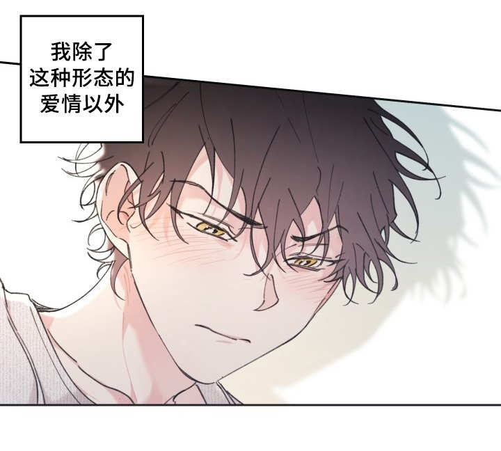 第31章：爱情的原因29