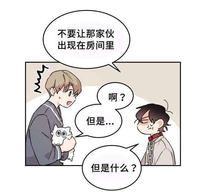 第27章：新的猫咪21