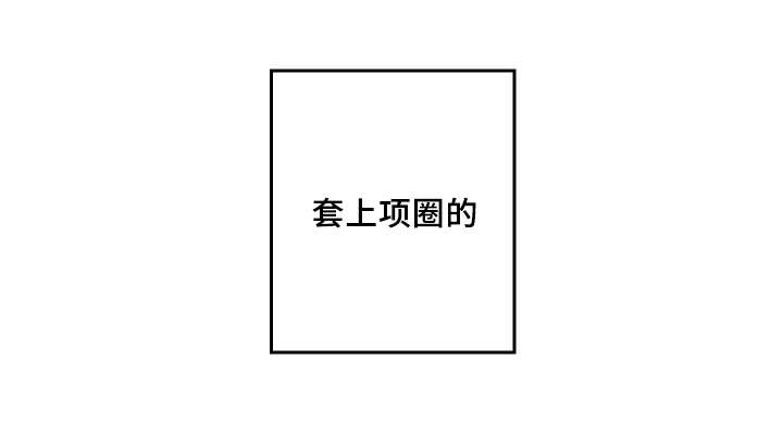 第47章：到底是谁20