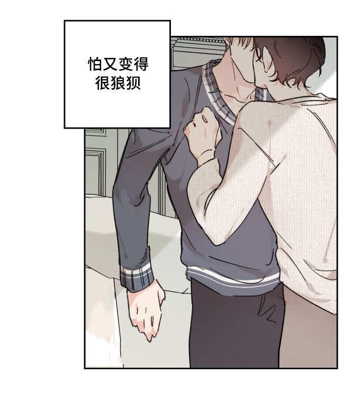 第31章：爱情的原因22