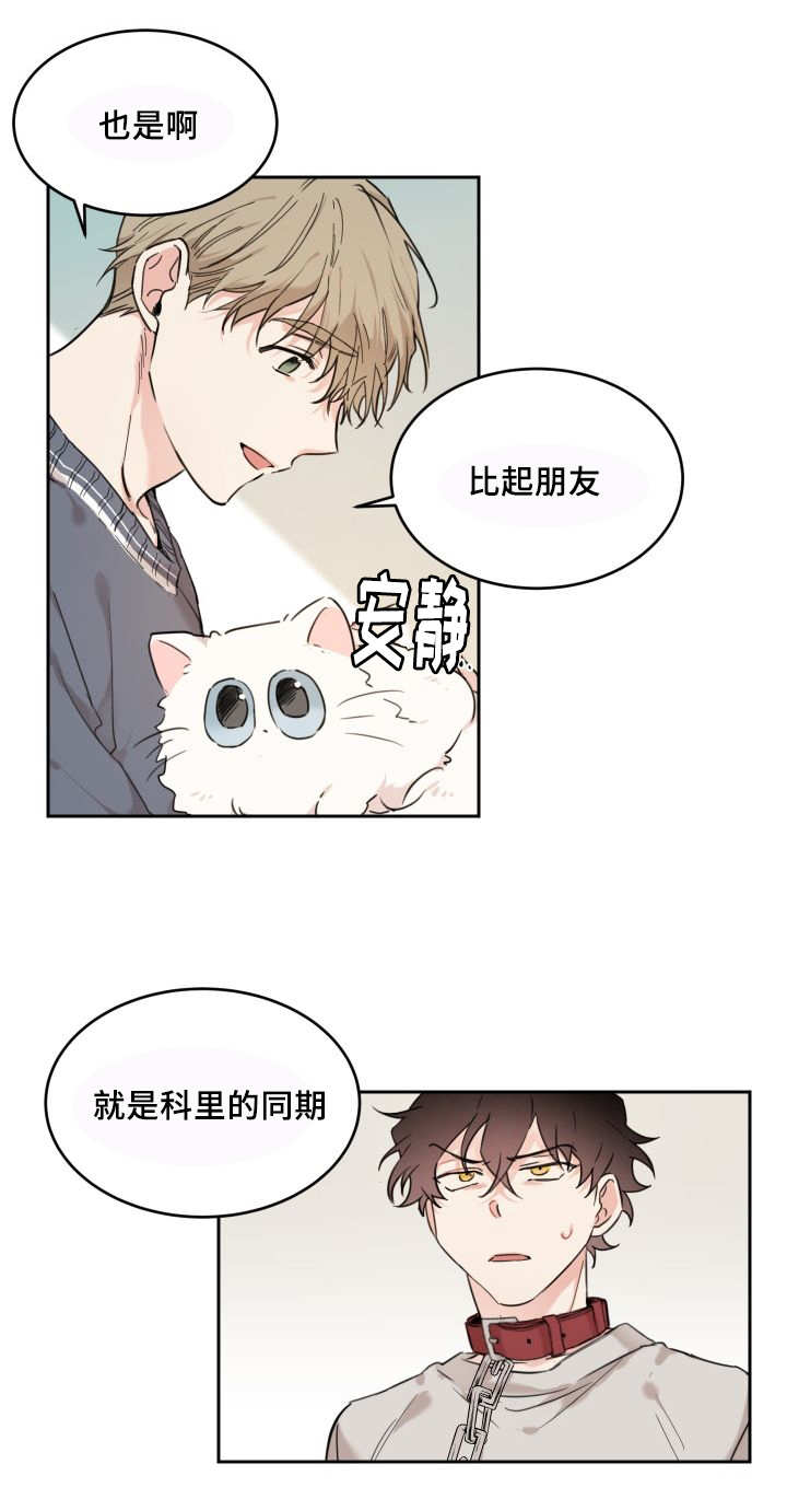 第27章：新的猫咪16