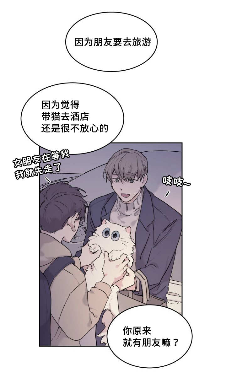 第27章：新的猫咪15