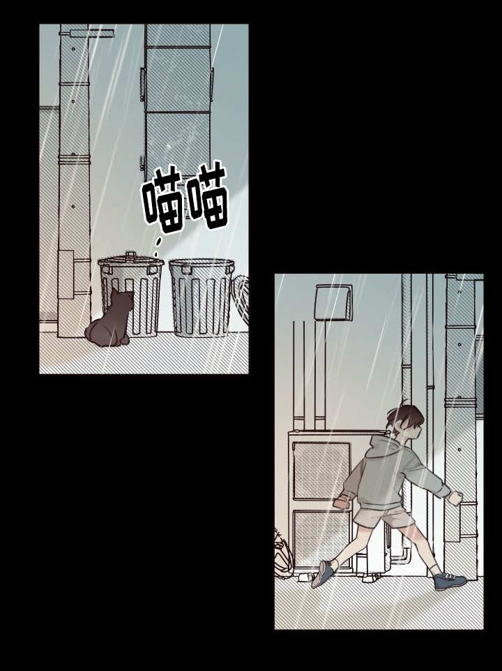 第26章：不然就杀了6