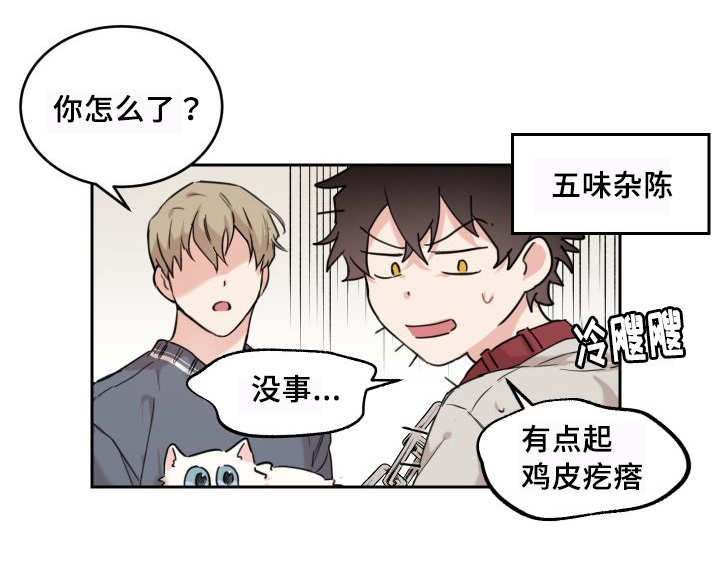 第27章：新的猫咪19